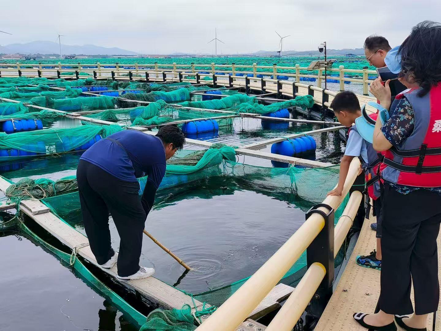 秦岭笑谈[超话]【齐鲁海产链托举大食物观 蓝色新粮仓筑牢食安基】随着人口增长和消