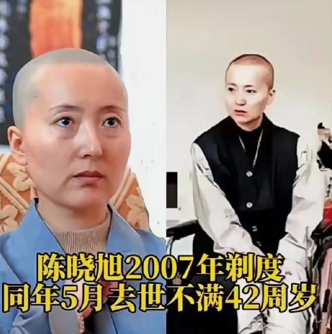 陈晓旭这一生，感情经历很简单，也很让人惋惜。她先后有过两段婚姻，第一任丈夫是毕彦