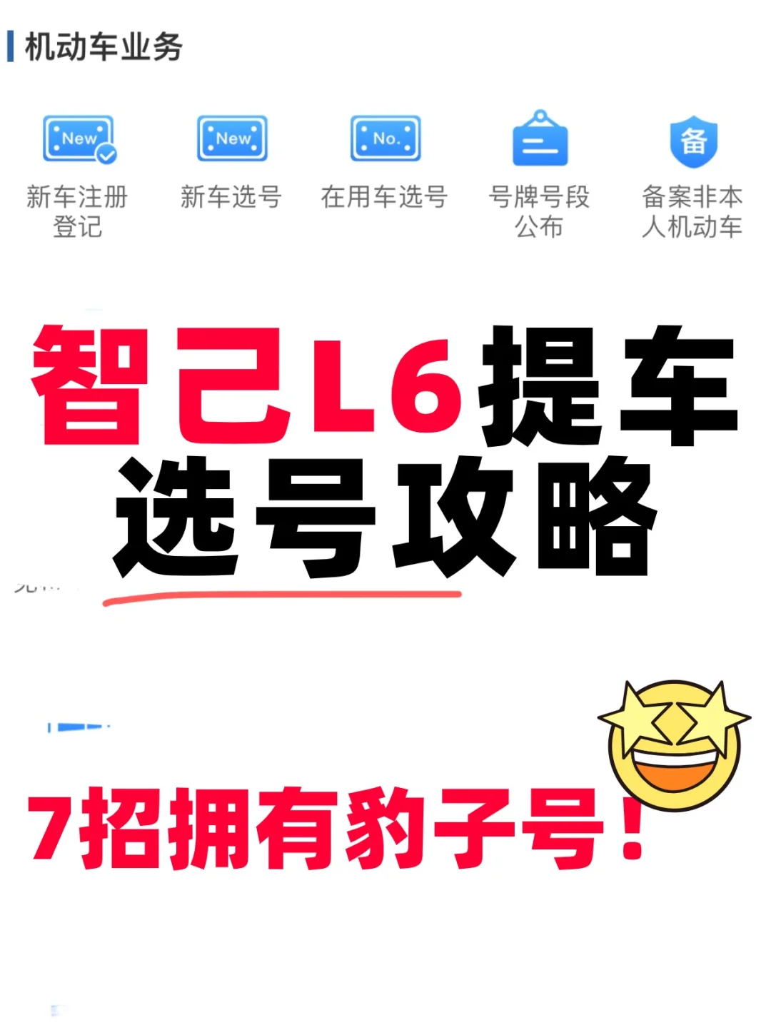 智己L6提车保姆级选号攻略❗️照做不踩雷