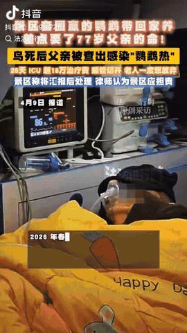 陕西咸阳，一男子带家人在袁家村景区玩套圈，他套中一只鹦鹉带回家饲养，没想到鹦鹉死