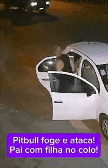 对付恶狗也是如此，真理在手，万事不怕。枪杆子里面出政权，这话不假。