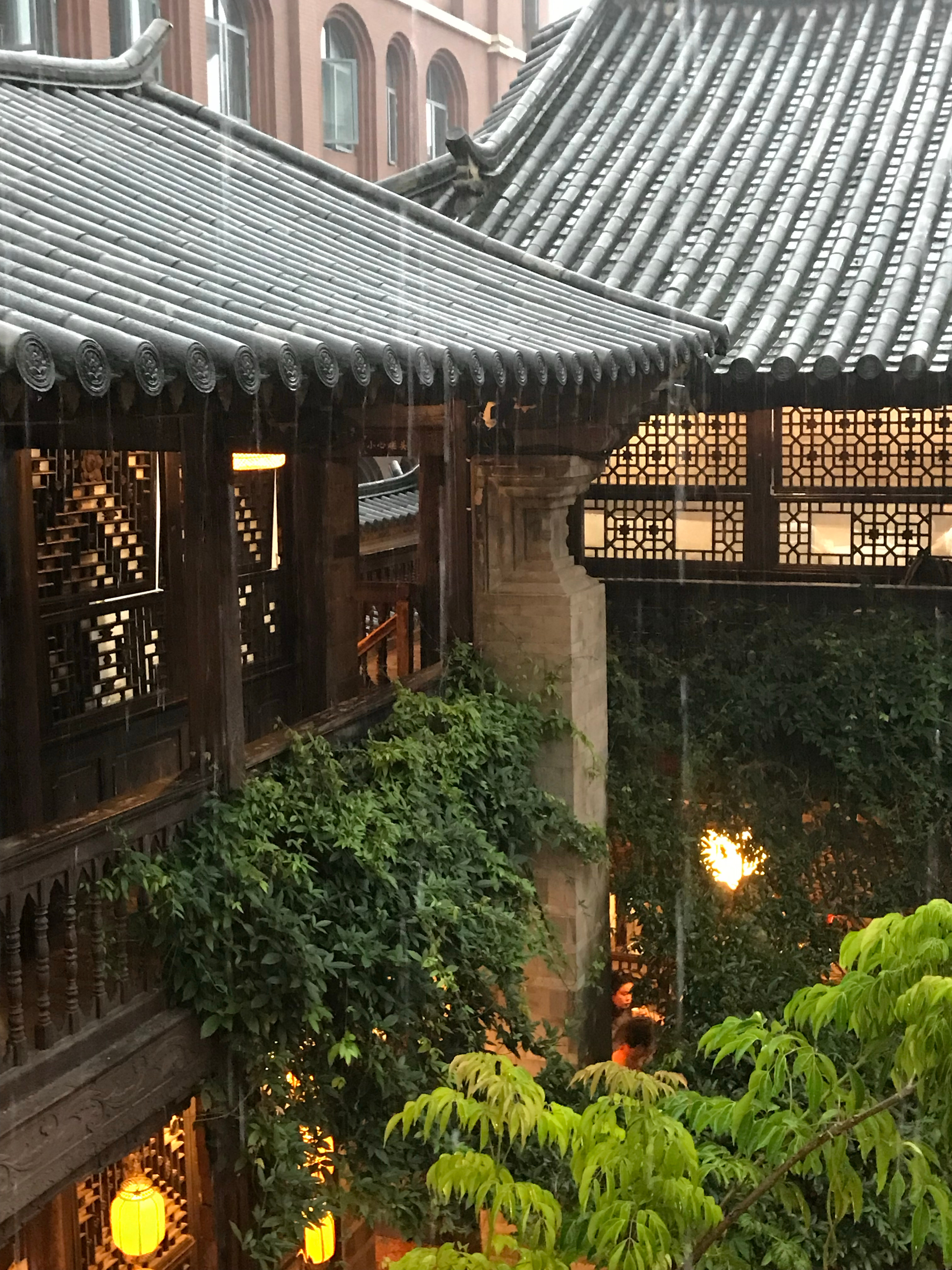 就这样雨转晴转雨🌱 