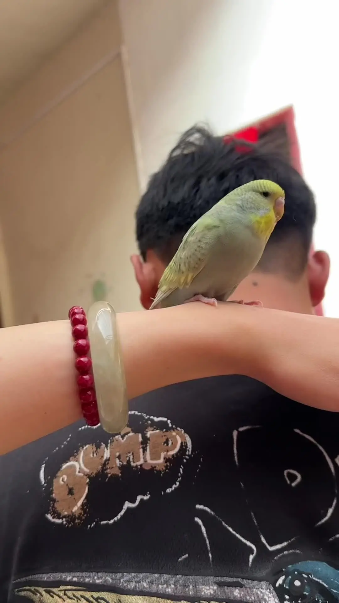 老家才是疲惫生活的解药