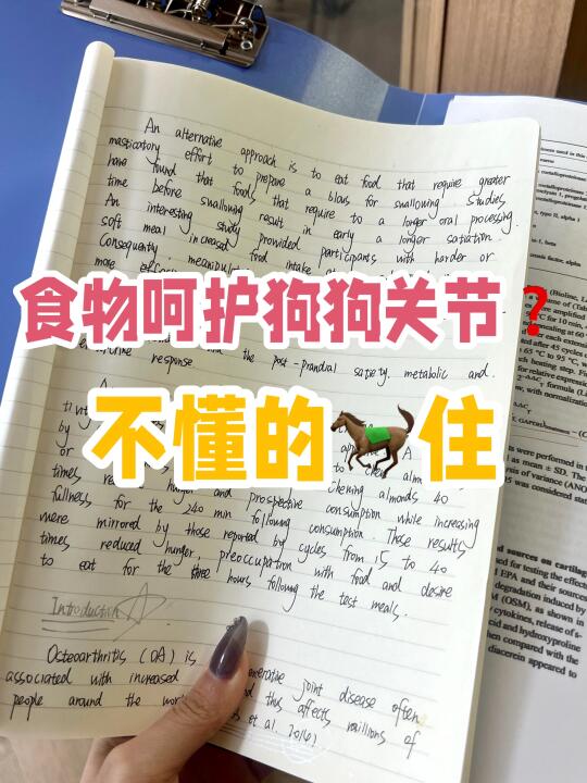 这些食材可以养护狗狗关节？