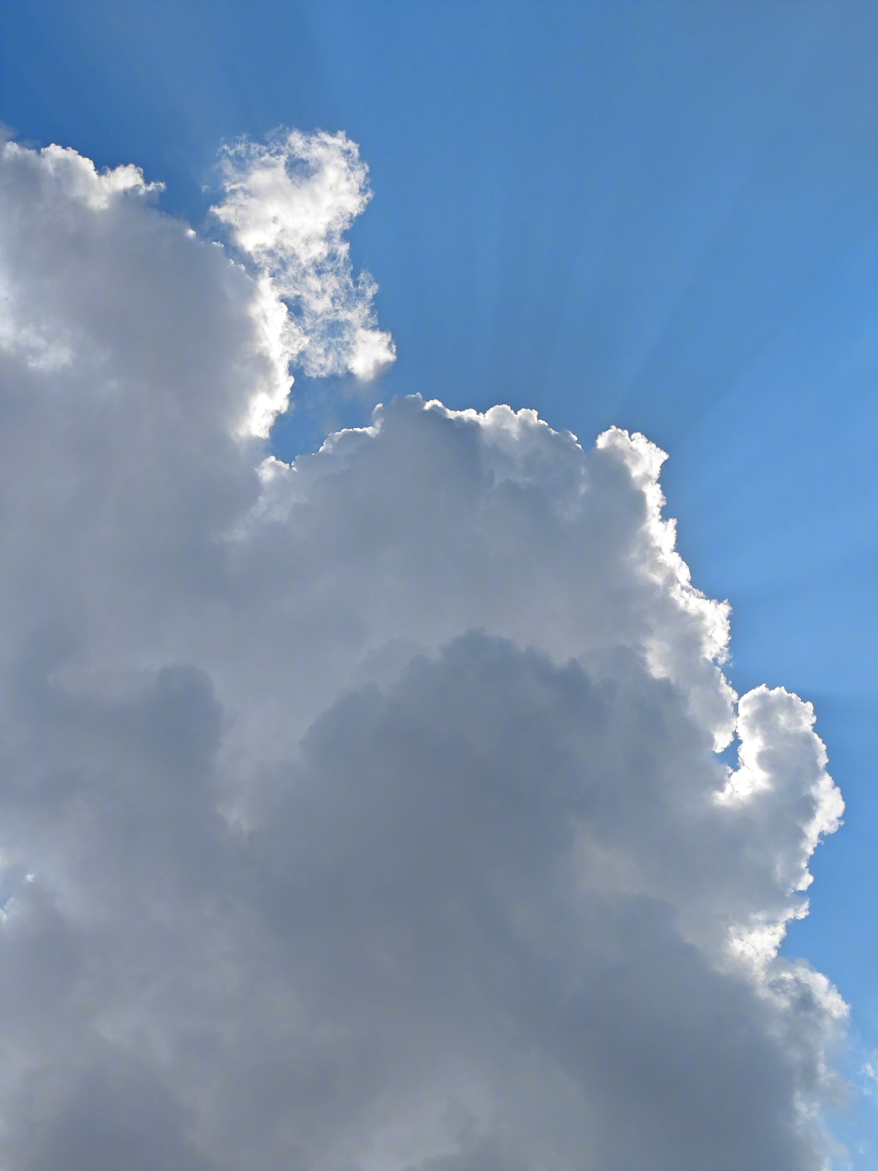 抑制食欲最好的方法/关掉空调🌞📷Photo by ​​​