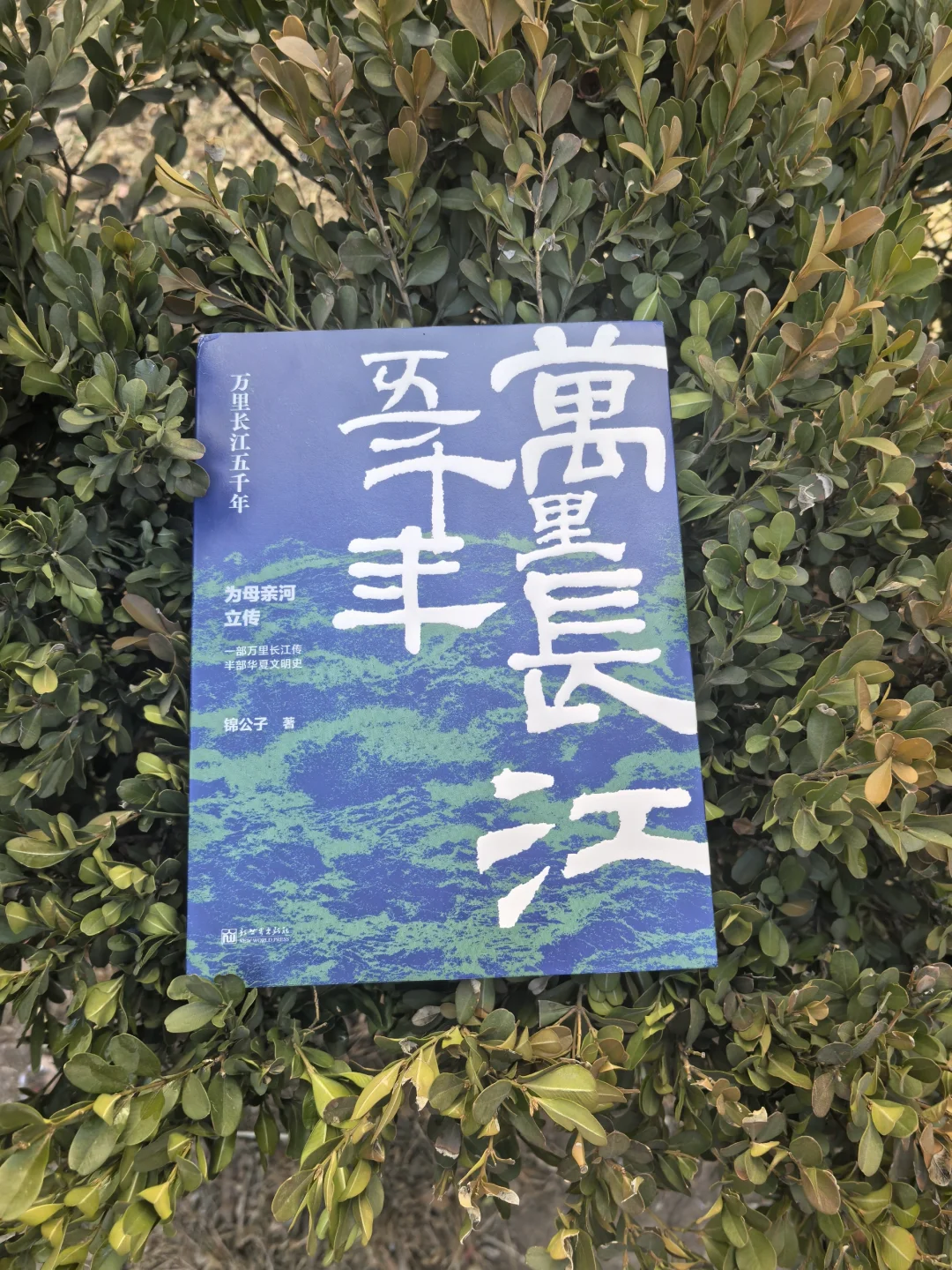 万里长江五千年：一部“母亲河”的文明史