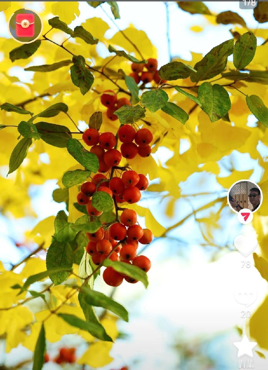 食在广州，玩在苏州。经过新冠的洗礼后，生活去伪存真，不再追求奢华，极简成为新常态