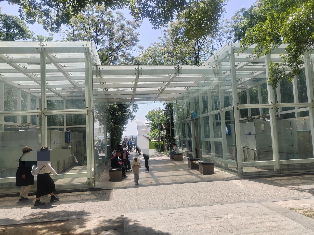 许久没来白龟湖了，昨天下午与家人乘车来到了久违的白龟湖湿地公园。
的确，白龟湖经