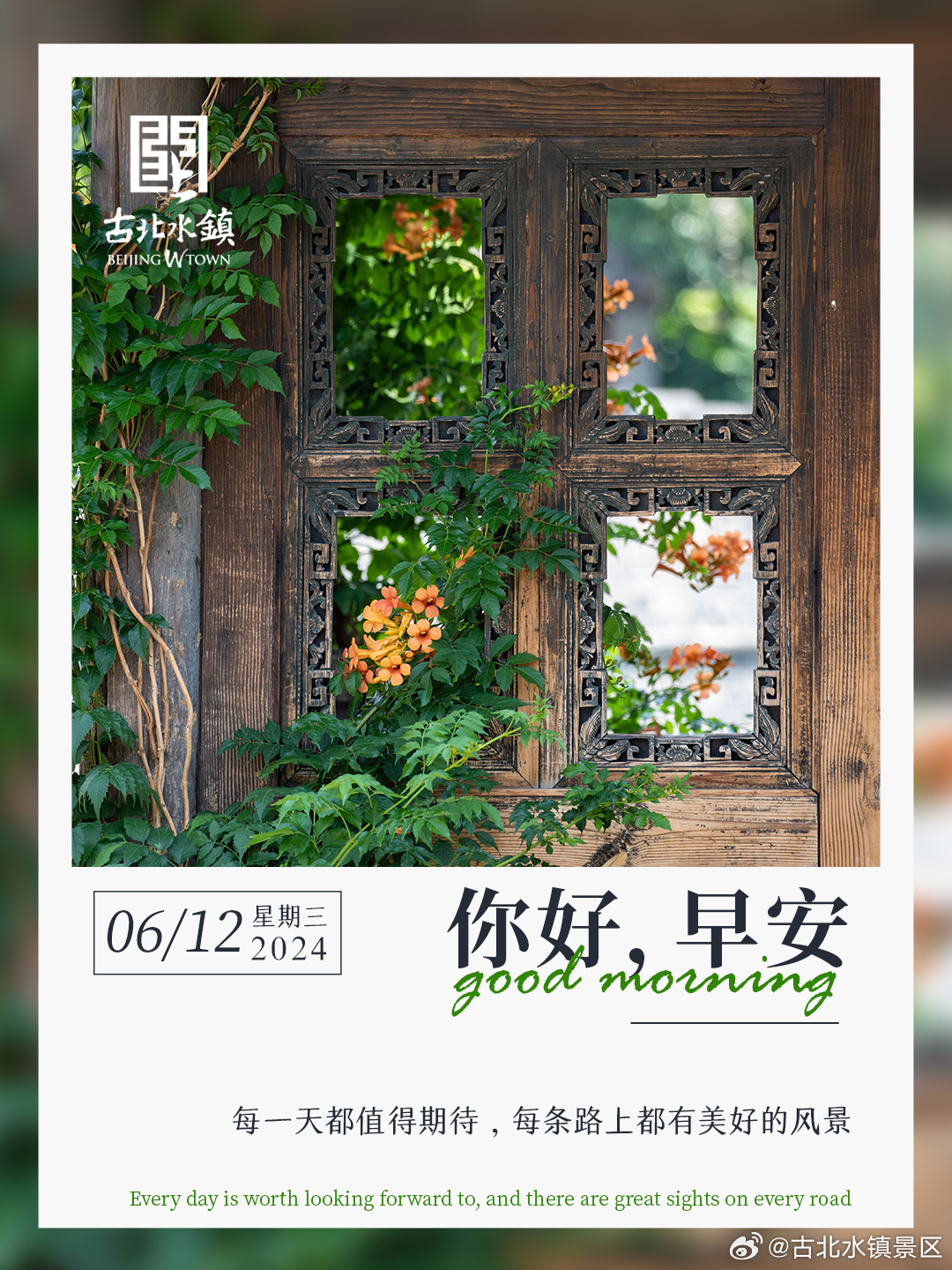 每一天都值得期待，每条路上都有美好的风景早安，宝子们~#古北水镇光之城# #司马