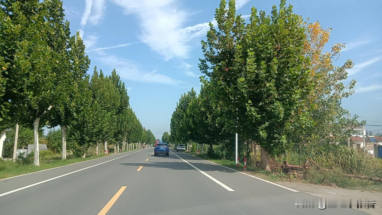 本地人不明白外乡人为何一放假就扎堆回老家，其实在外打工的人虽然身在异地，但老家一