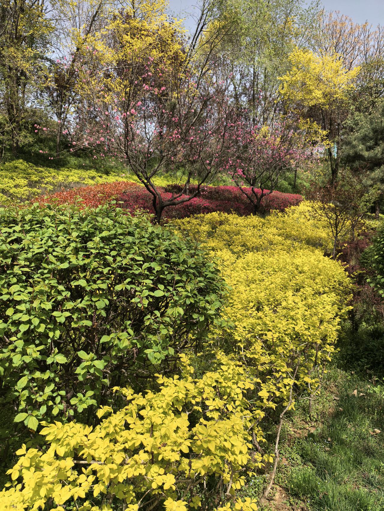 紫金矿业A股本周走势分析及展望

      紫金矿业A股本周整体表现为震荡反弹