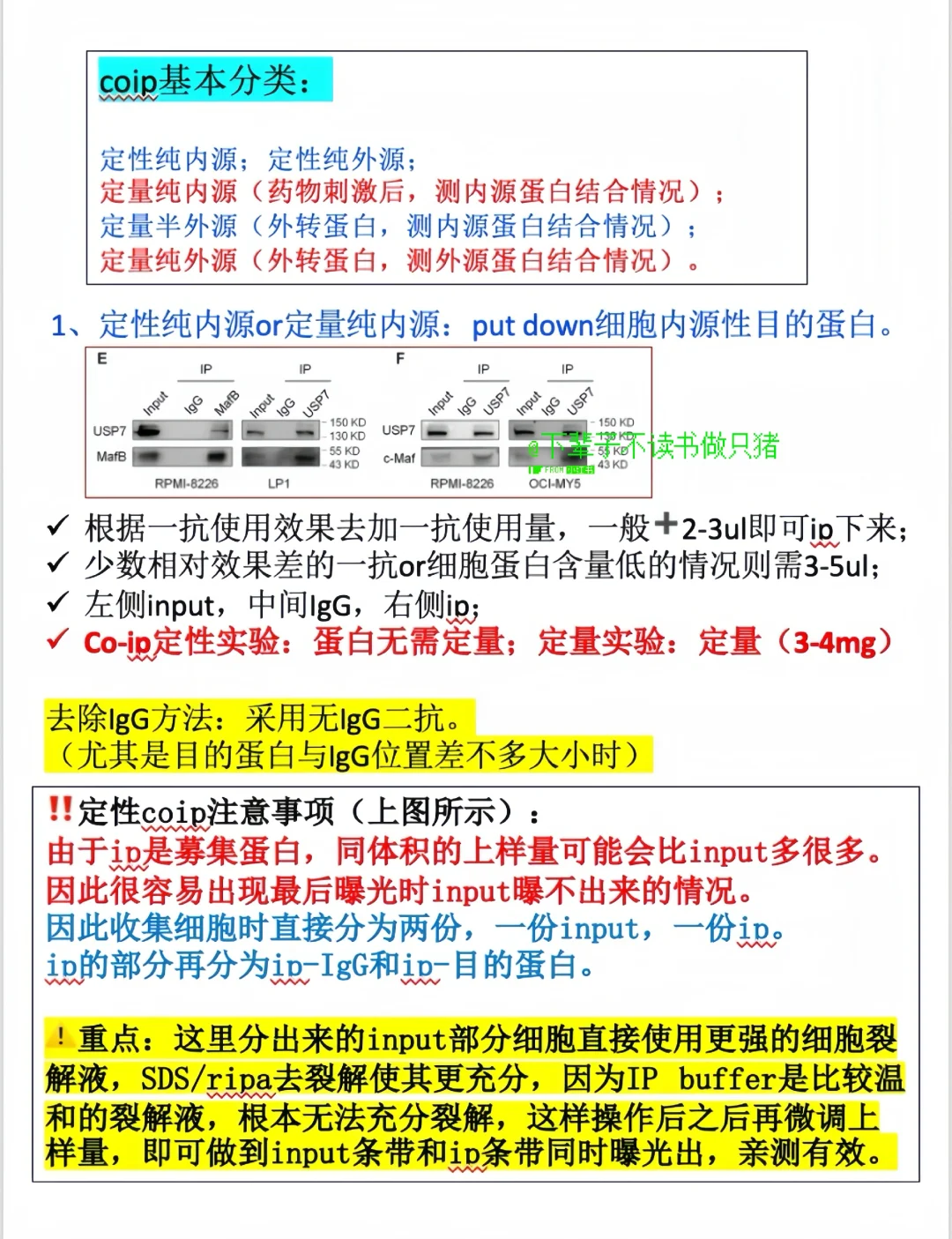 做coip一定看这篇‼️（接上一条笔记）