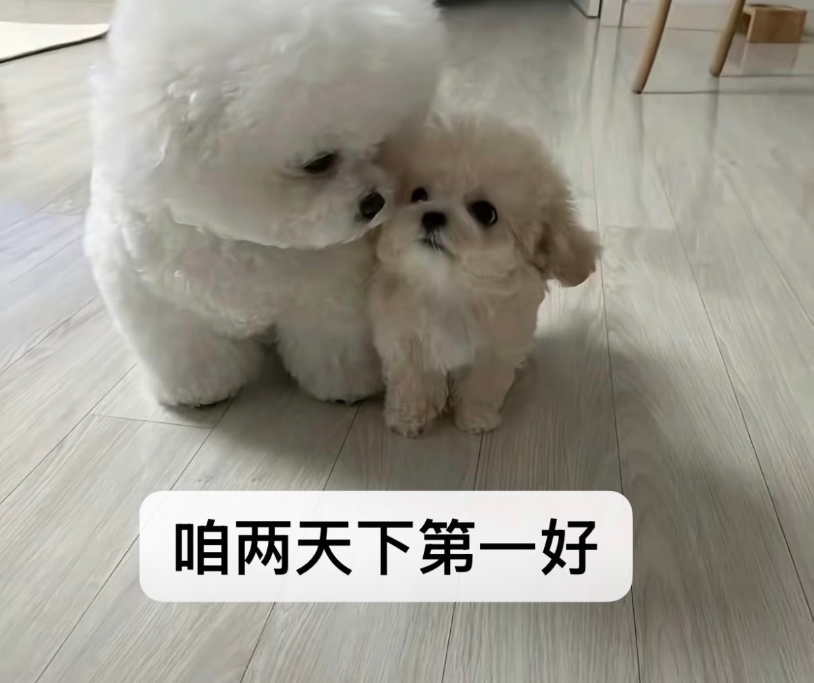分享图片 