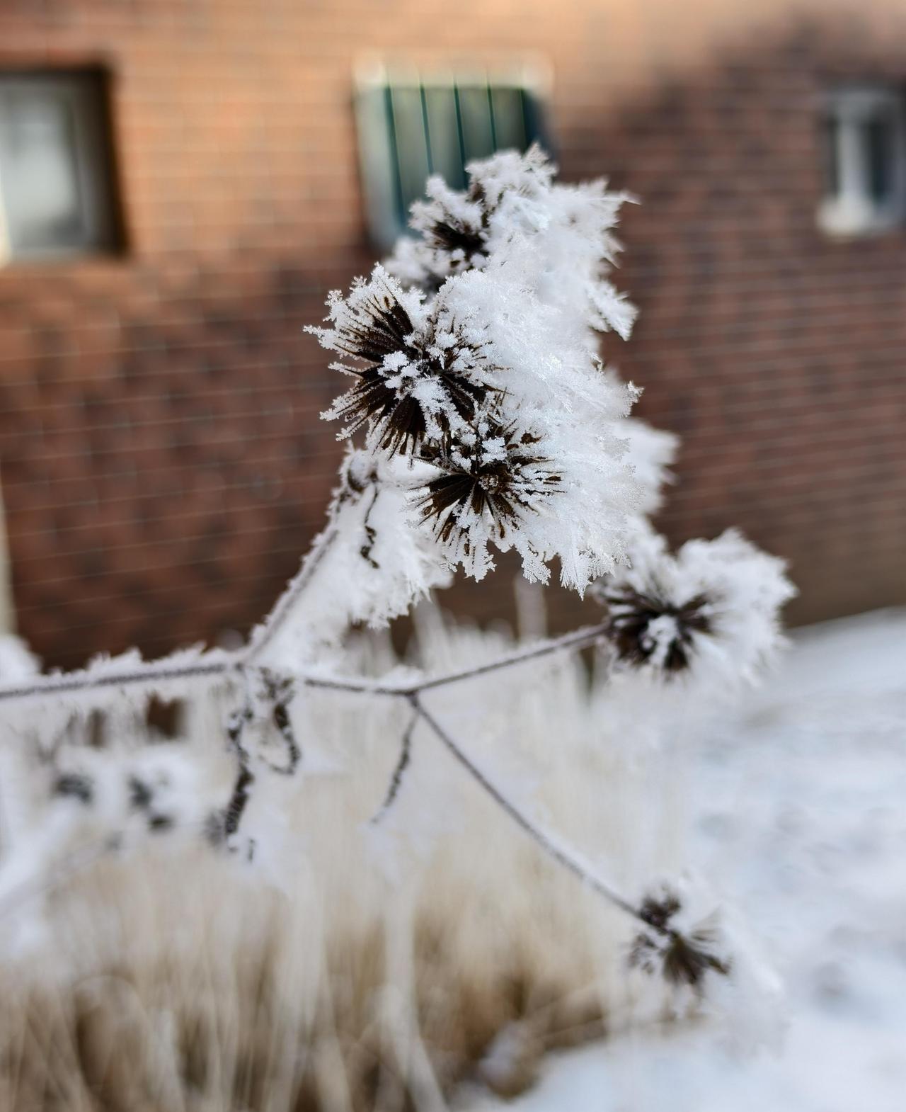 我55岁了，71年单身独居女人，我准备孤独终老了
独居的第十三个冬天，我早就习