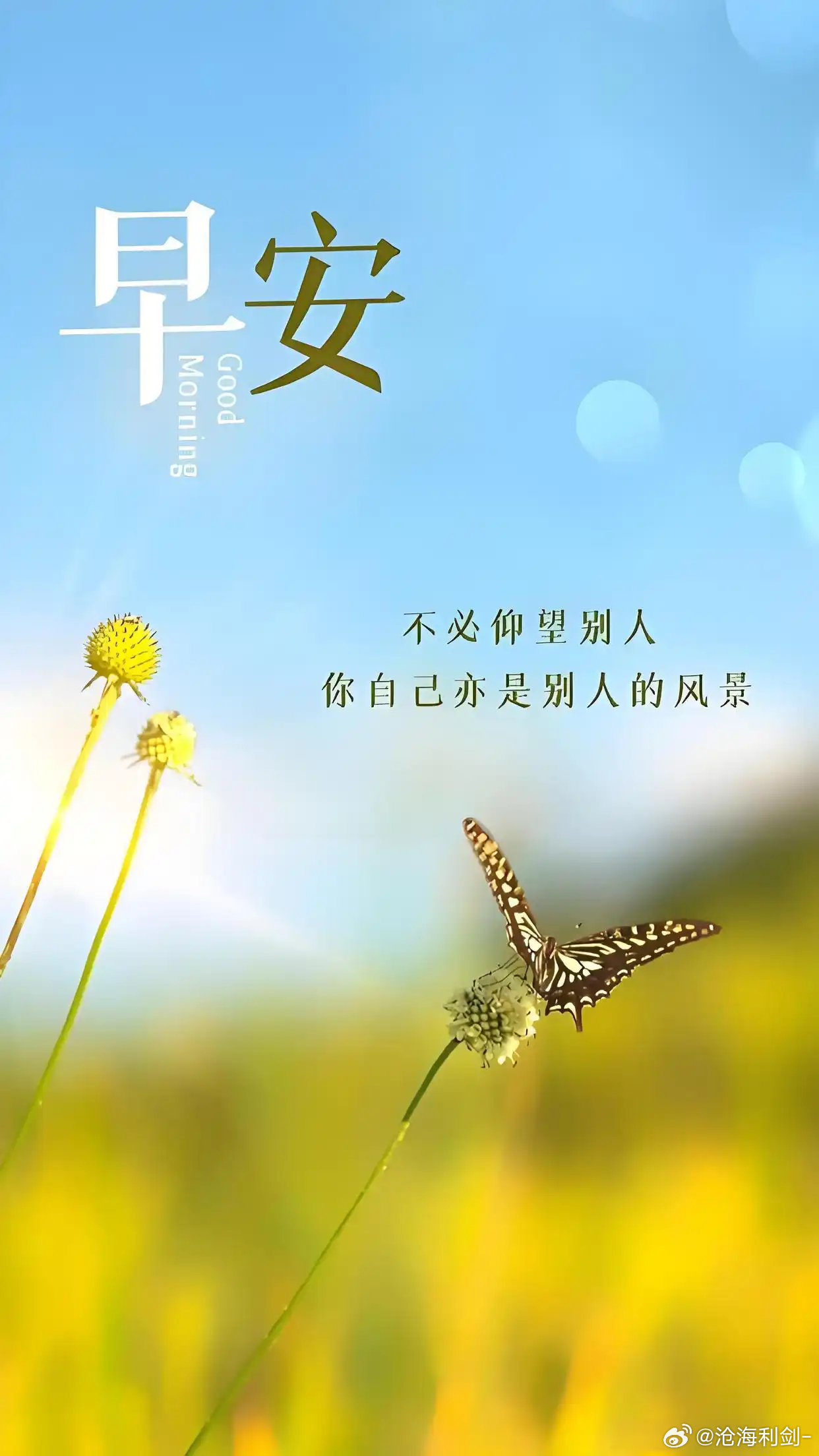 早安早安，世界很安静，心也很柔软。放慢节奏，感受日常小美好，简单知足，就是幸福。