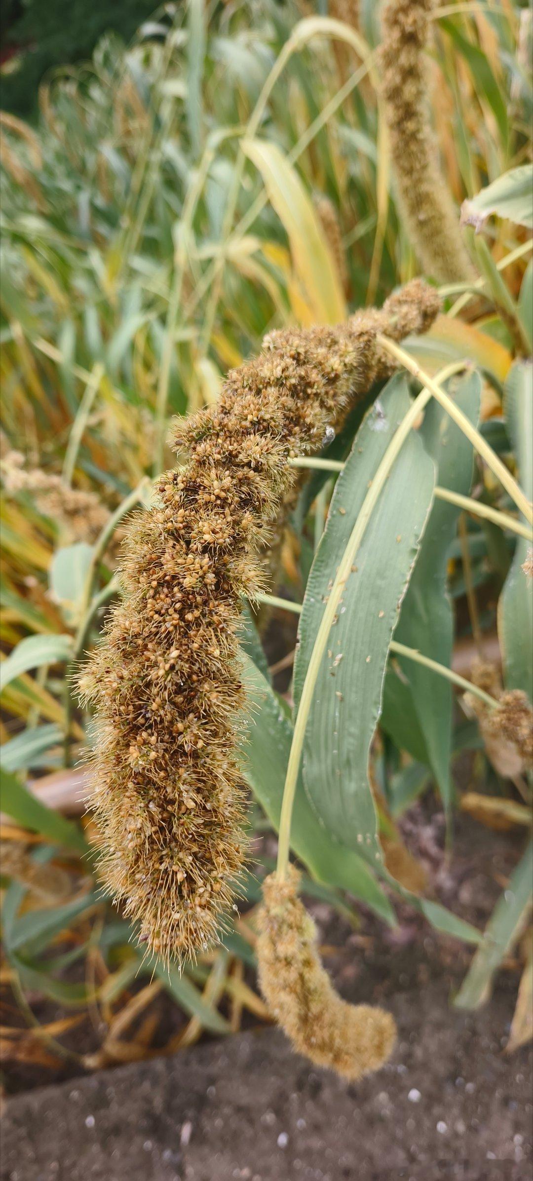 下乡放松一下  ​​​