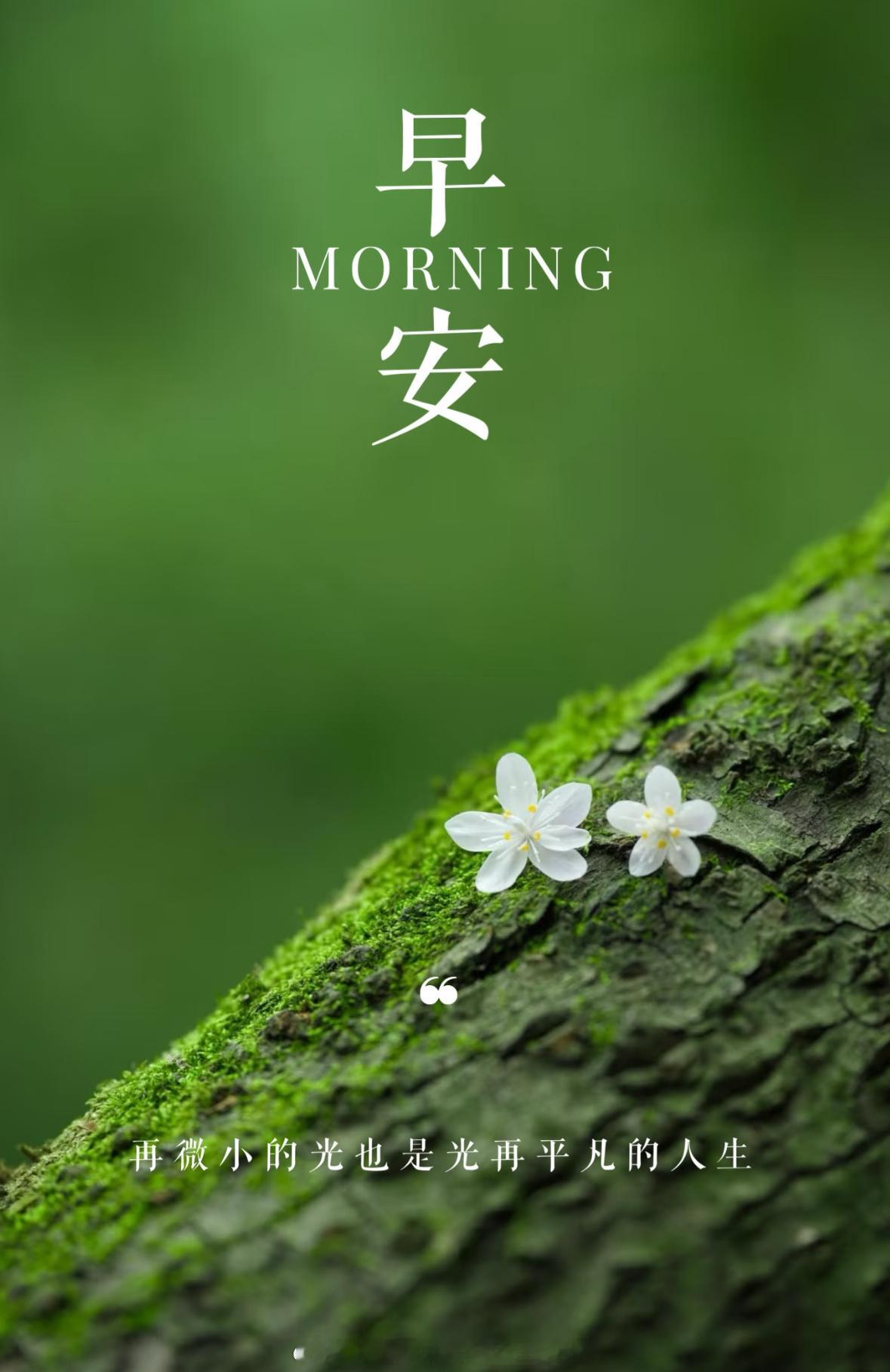 早上好，新一天的交易开始。管住手，等待合适进场点位，机会来了再出手黄金金价黄金