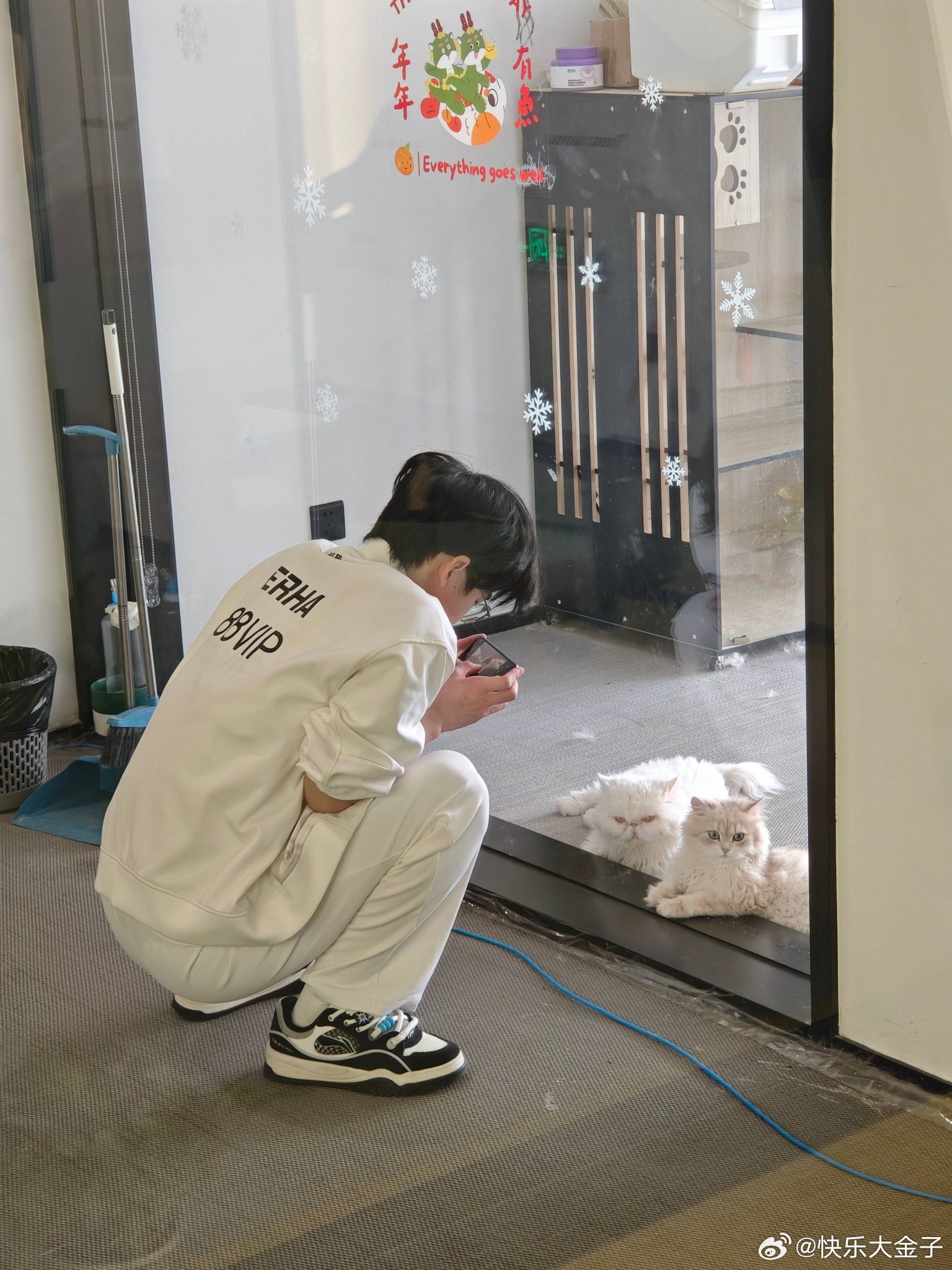 [二哈]二哈拍猫[喵喵]WBG英雄联盟[超话] ​​​
