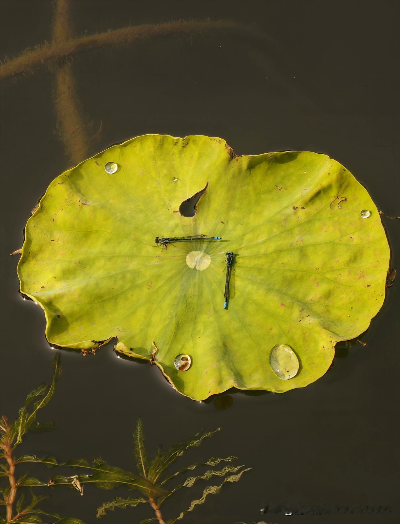 分享一张有意境的照片吧9点半