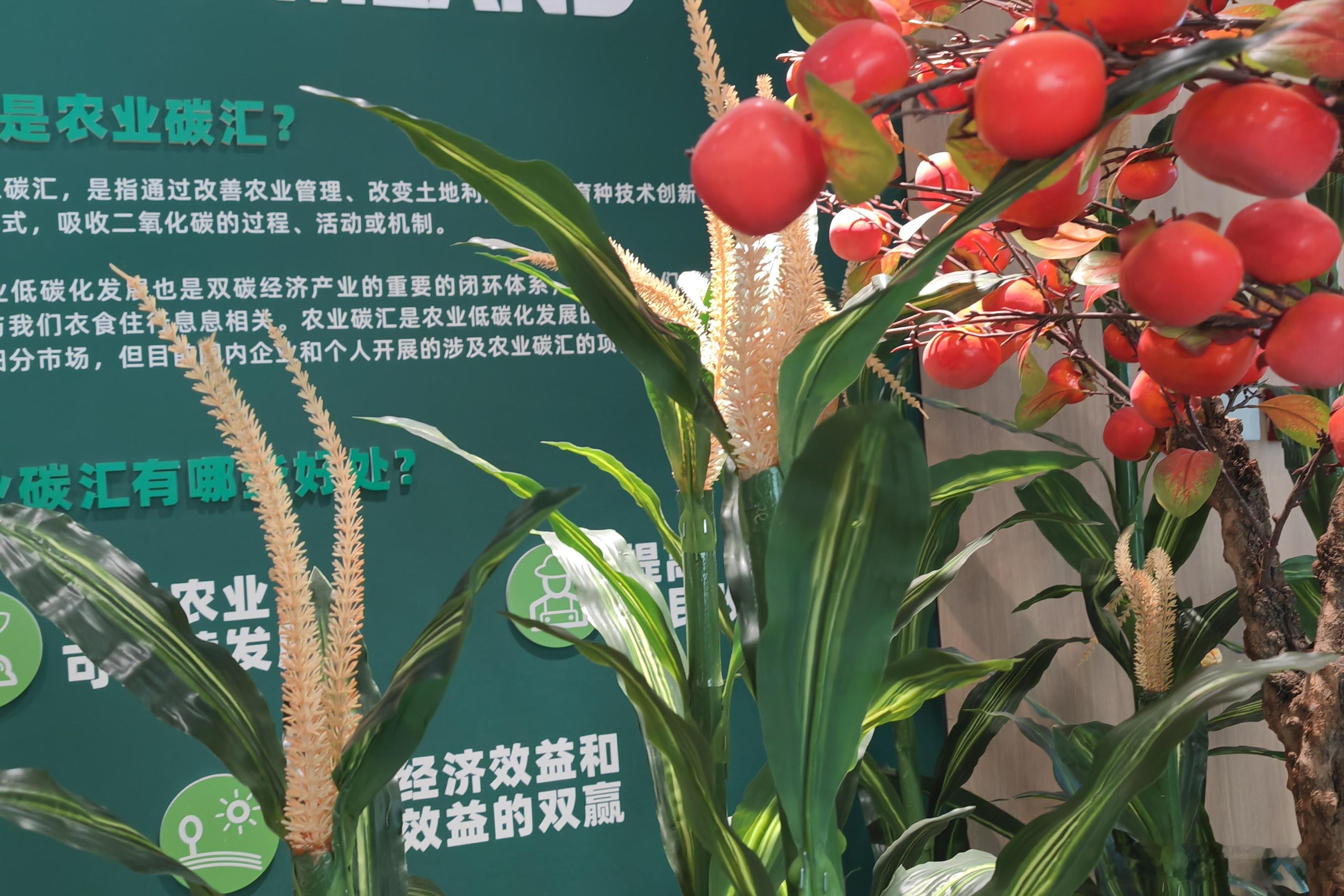 碳惠山东  今天上午在山东碳普惠信息科技发展集团有限公司体验面向社会打造的碳普惠