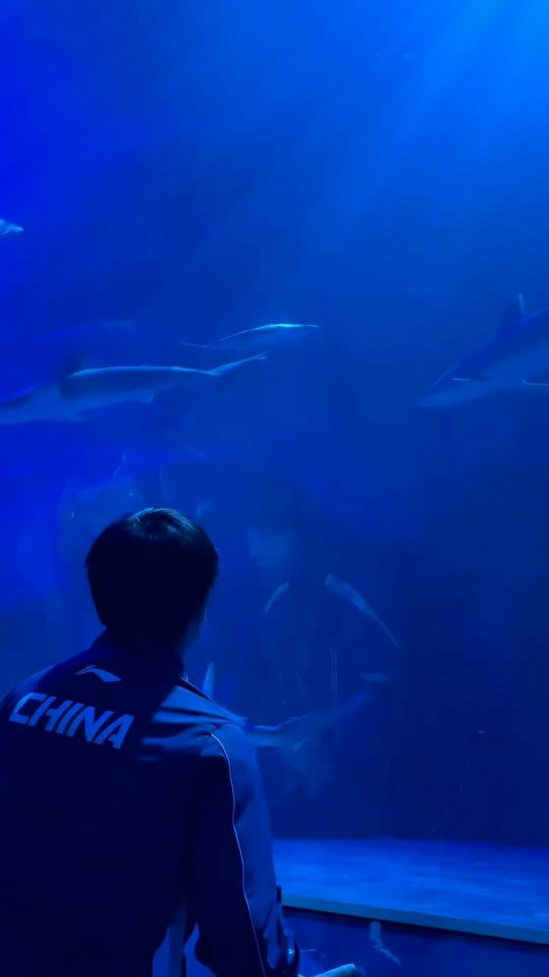 其实看到这个画面真的好想哭吧 他们现在难得或者说根本没有机会能去到他们想去的地方