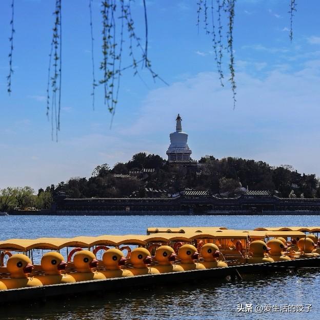 现在北京的花还没到盛放期，与其去“等花”，不如去一个本身就足够美的地方。

我推