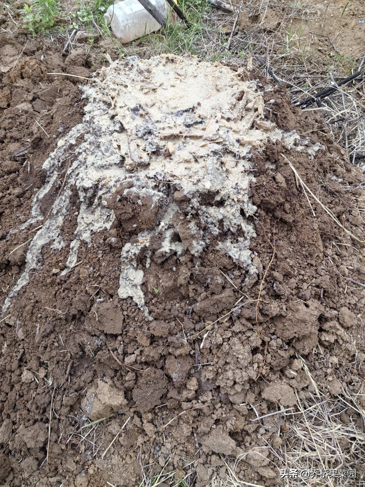 这是因为，肥料在发酵过程中，有一种微生物的作用无可替代。这种微生物叫厌氧菌。
