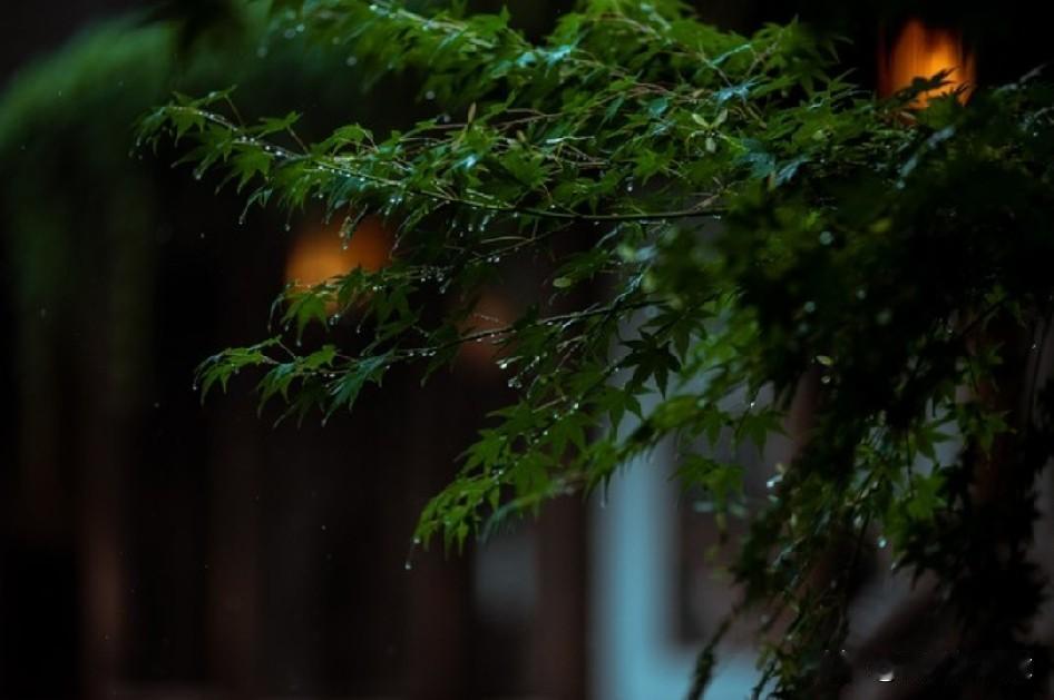“一滴雨落进心里”


天空似泛黄的旧宣纸
洇染着洗不掉的灰，心也是。

只是今