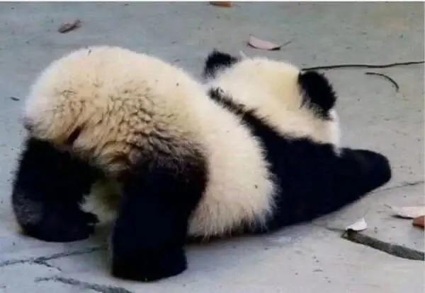 崛起的屁股，这个家伙大庭广众之下如此行为不检，十分不雅。