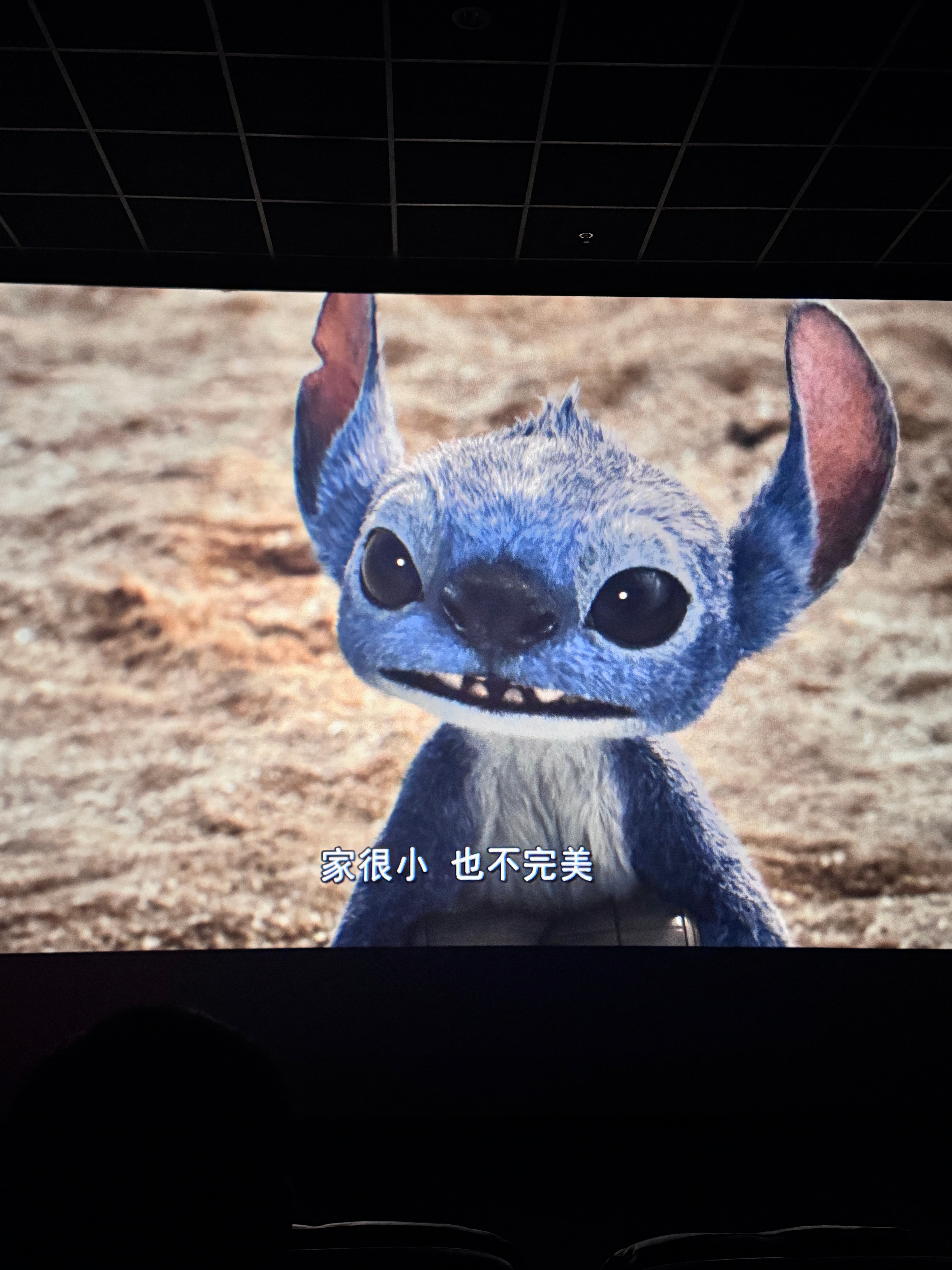 史迪奇是全世界最好的宝宝 ​​​