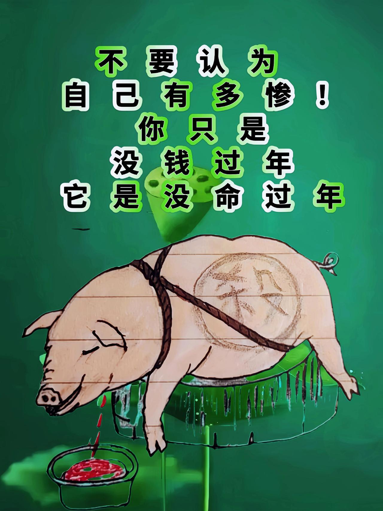 上热门原创视频 上热搜 创作人计划 抖音推广