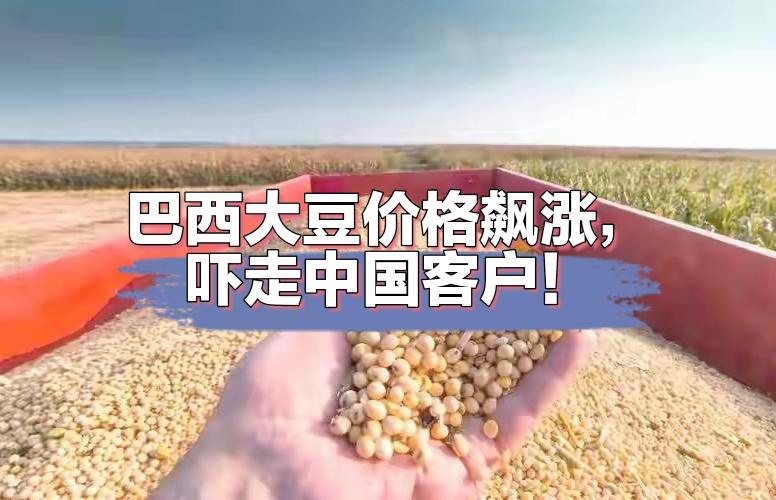 巴西不懂放长线钓大鱼，所以永远也不会发展起来！
中国给巴西大豆机会，巴西大豆却飙