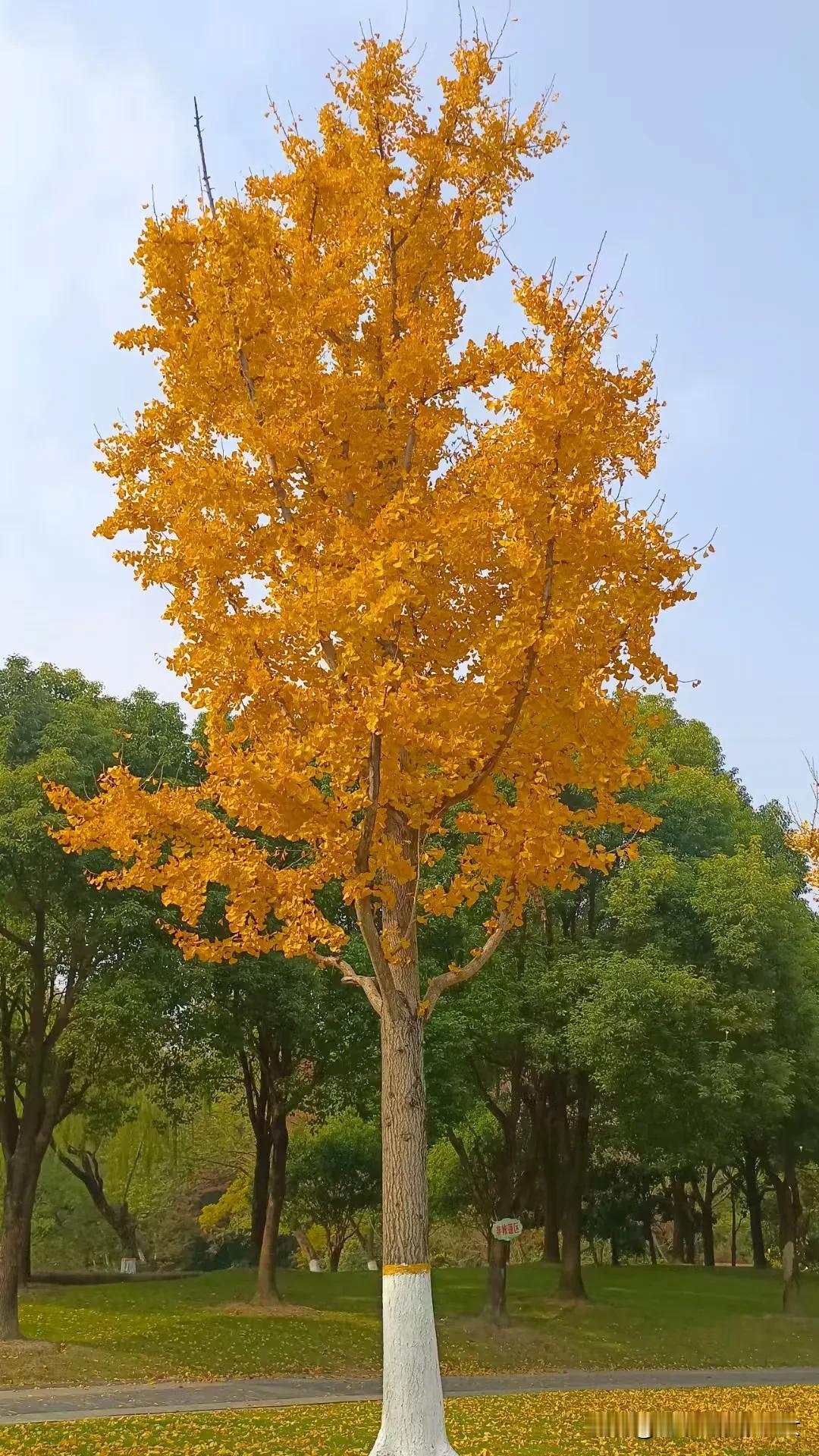 能说到做到的人，
会让人觉得踏实又浪漫