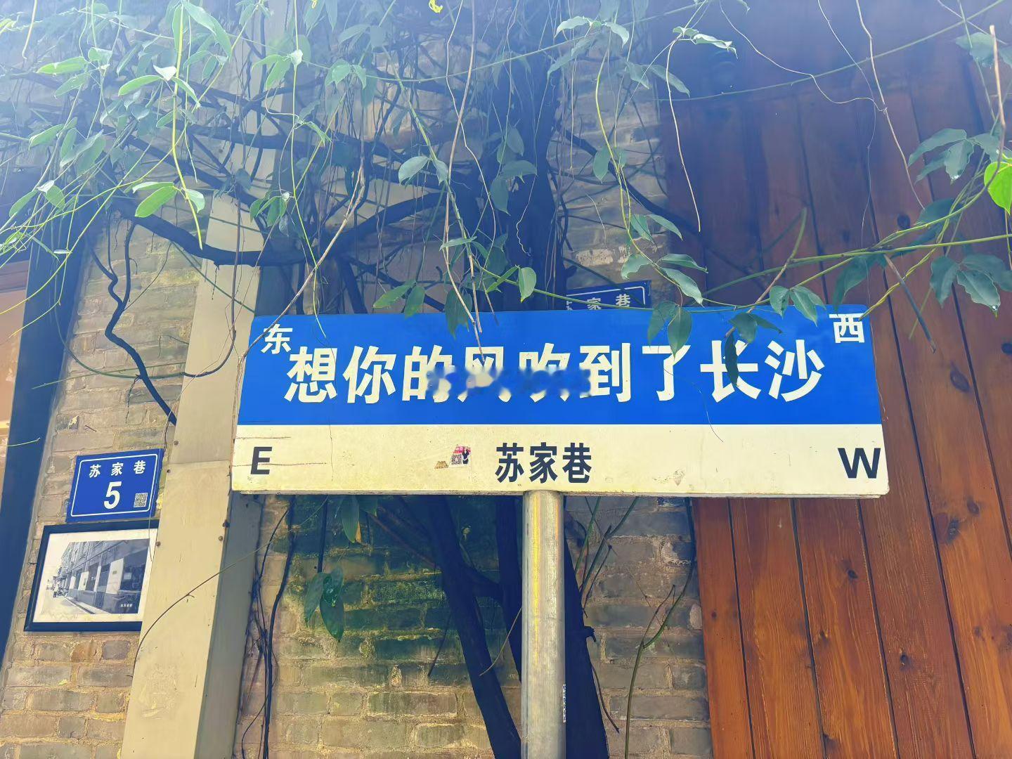 足不出户云游长沙～感谢家人发来的大片，苏家巷citywalk打卡到位，茶颜也线上