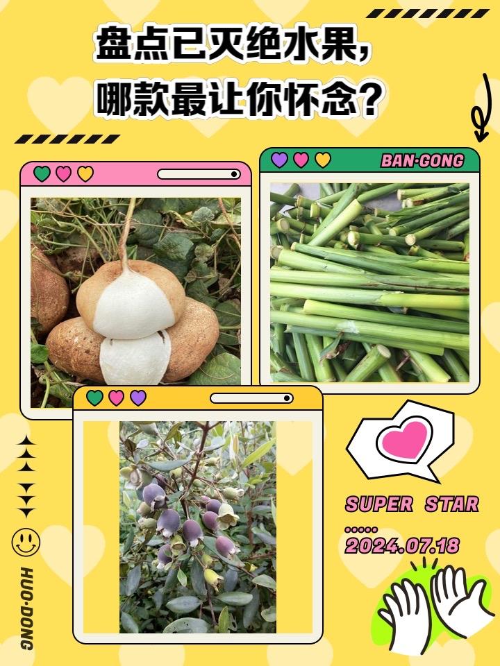 老式水果为何消失了？不是灭绝，是被时代悄悄"淘汰"了！

逛遍超市水果店，阳光玫