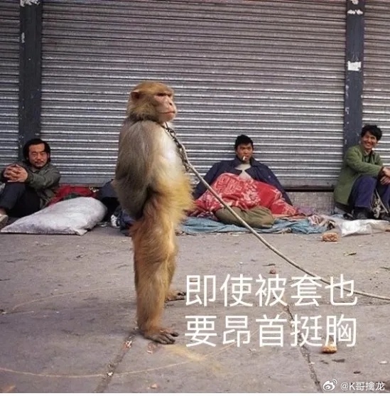 还是那句话，时间会证明猴模块。短期缺小猴，长期缺母猴，永远缺香蕉。你要站在猴里，