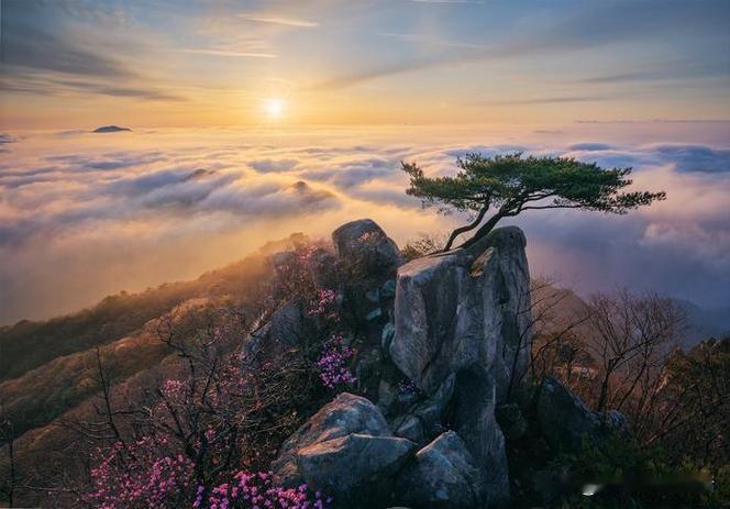 云海日出，仙境般的自然奇观山顶云海风光 云海日出的美景 自然云海 云海实拍秀