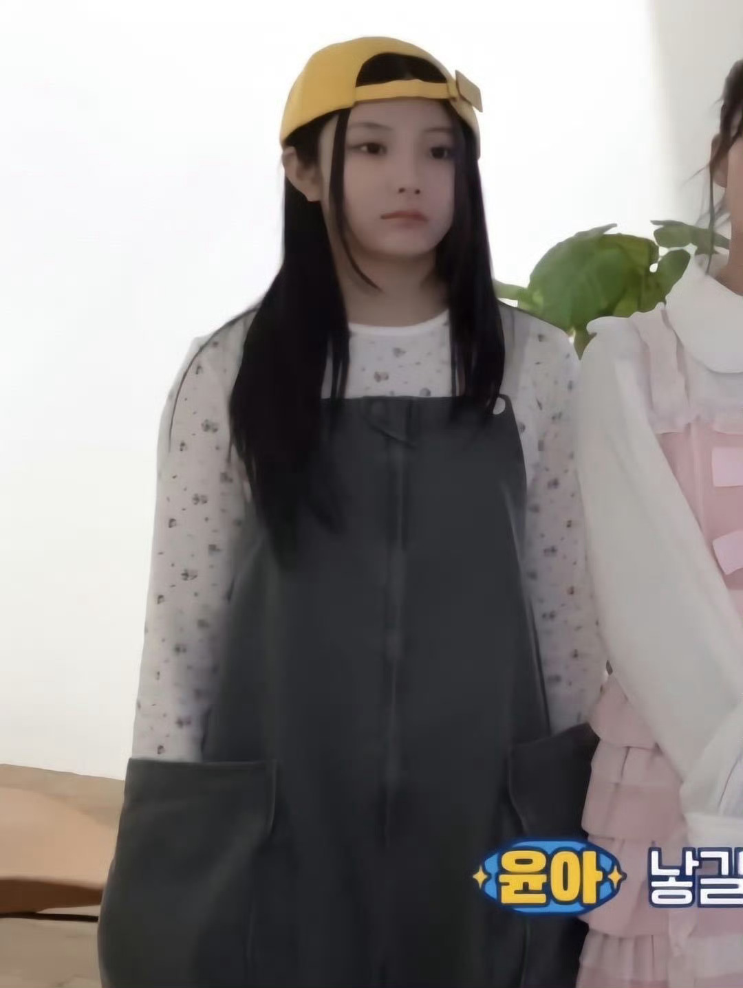 李猪禧站岗 ​​​