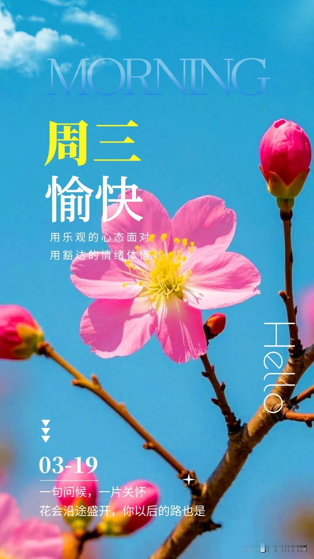 3月19日早上好，一句问候，一片关怀，花会沿途盛开，你以后的路也是。

3月19