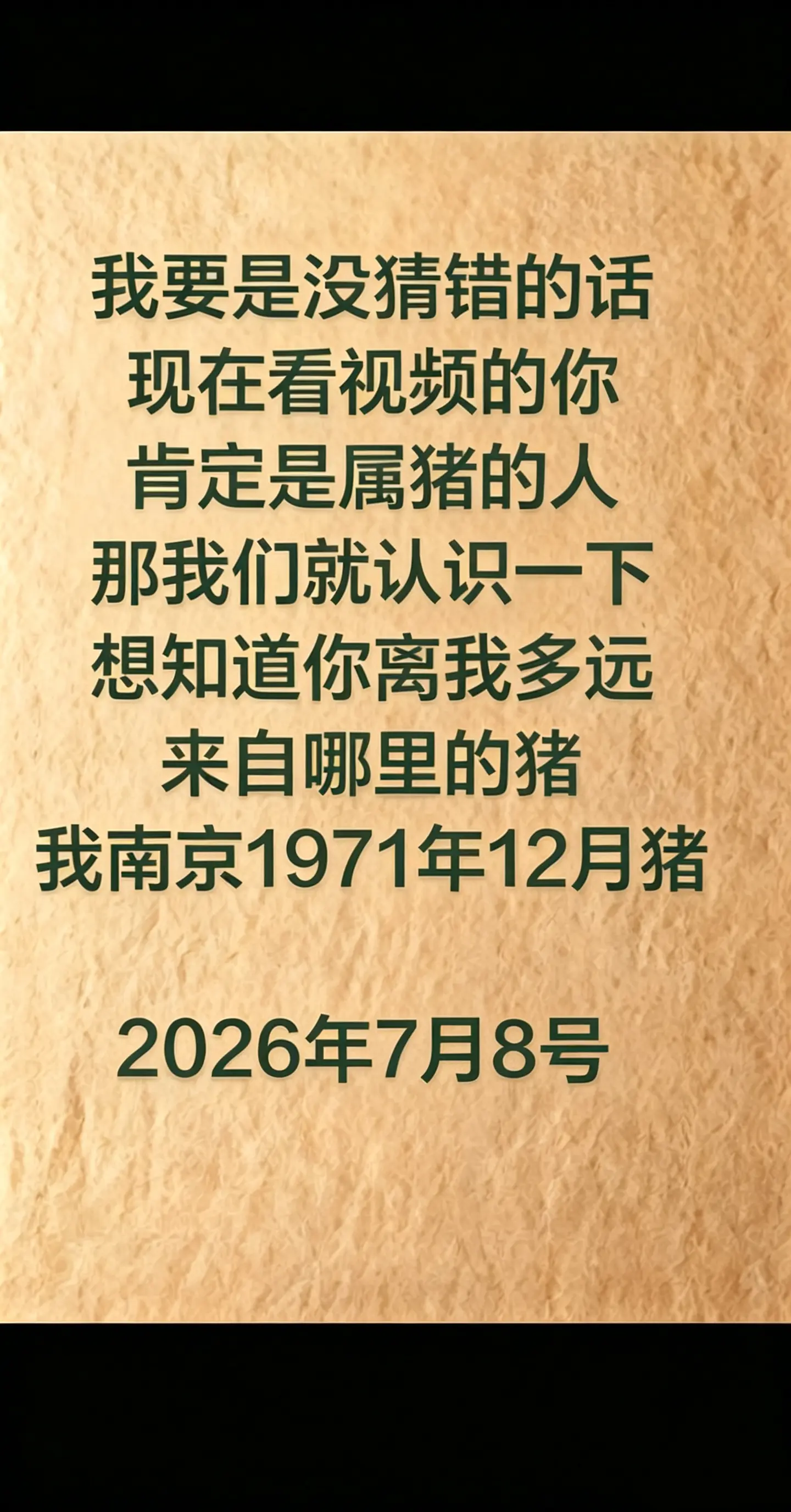 71年的猪 万能的 助手