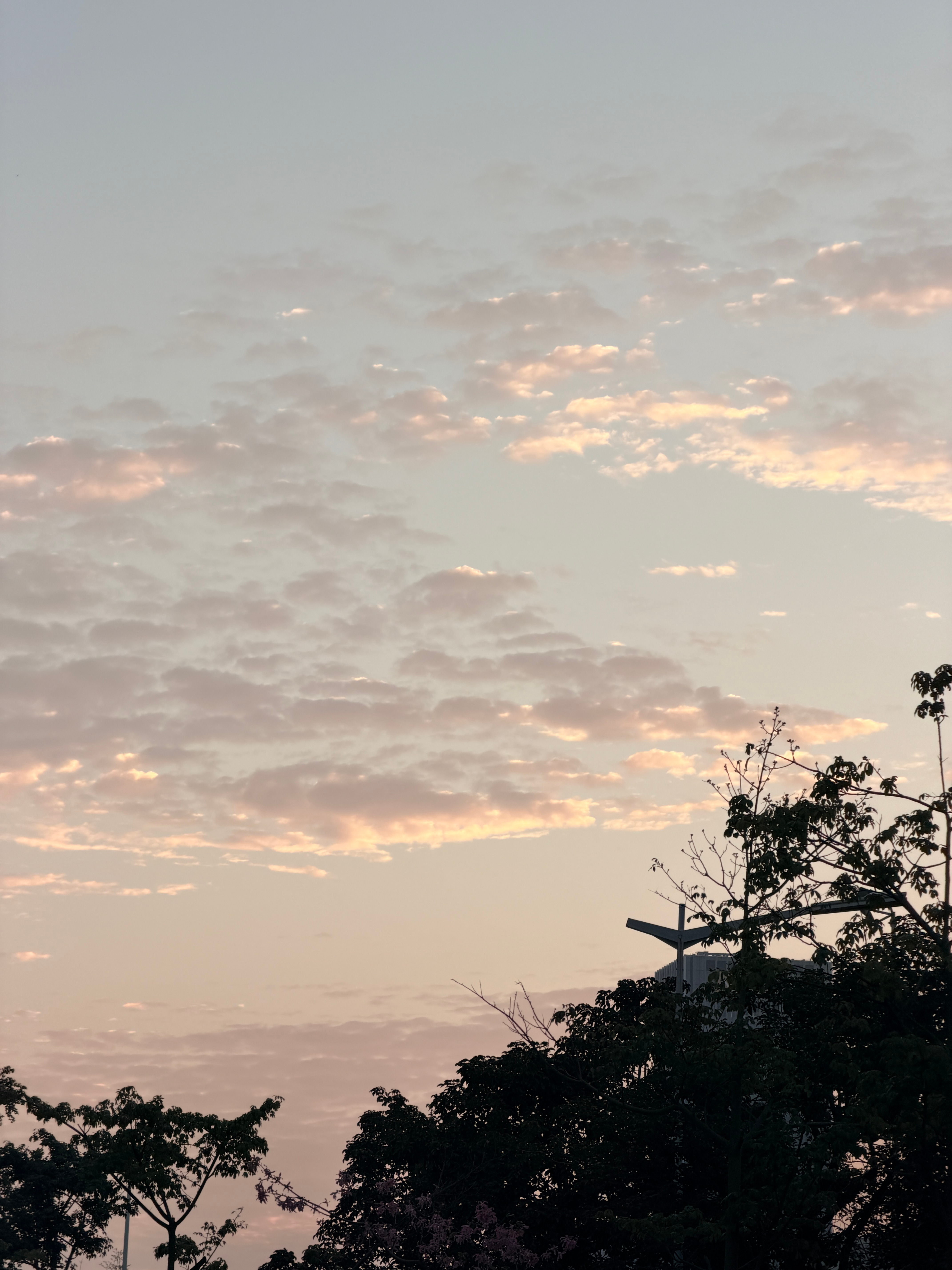原来清晨的天空这么美！出门打个早工啦~~ 