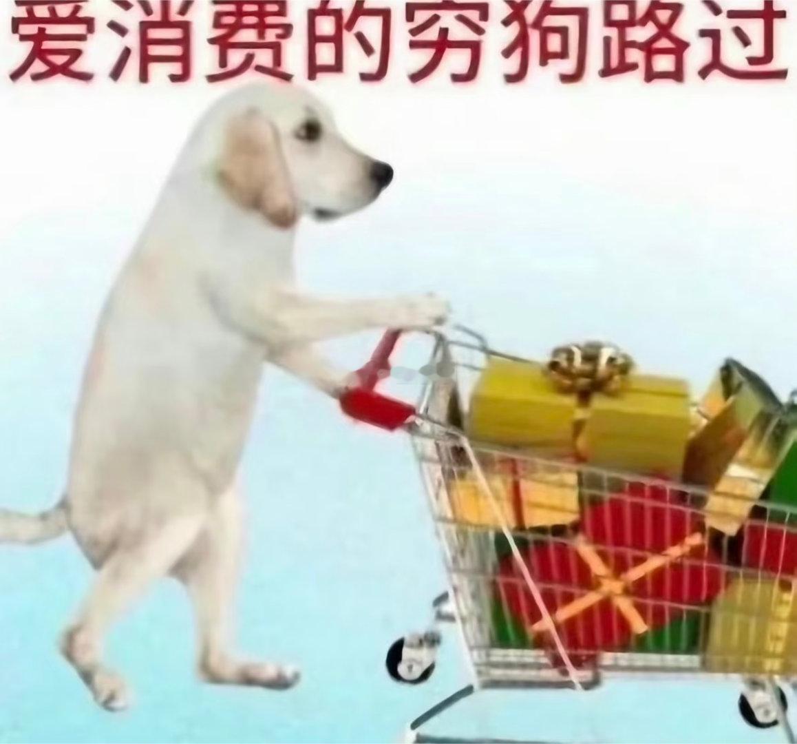 下次再点一堆吃的不吃我就是猪 
