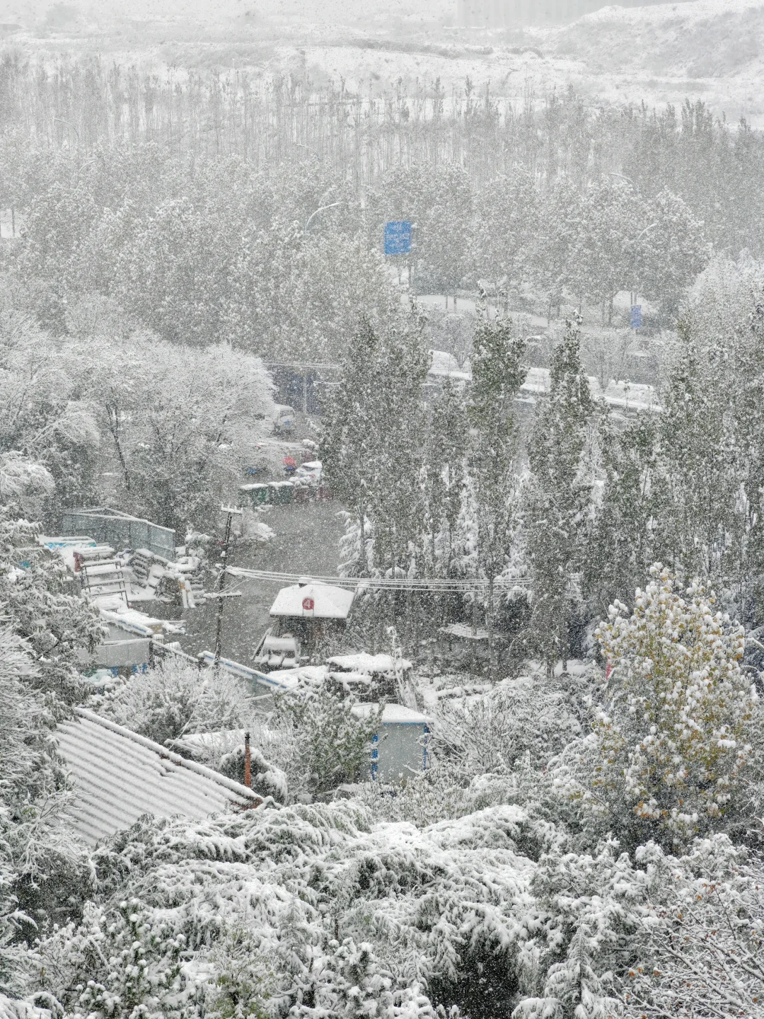 烟台又双叒迎来了雪季❄️冰河世纪🧊