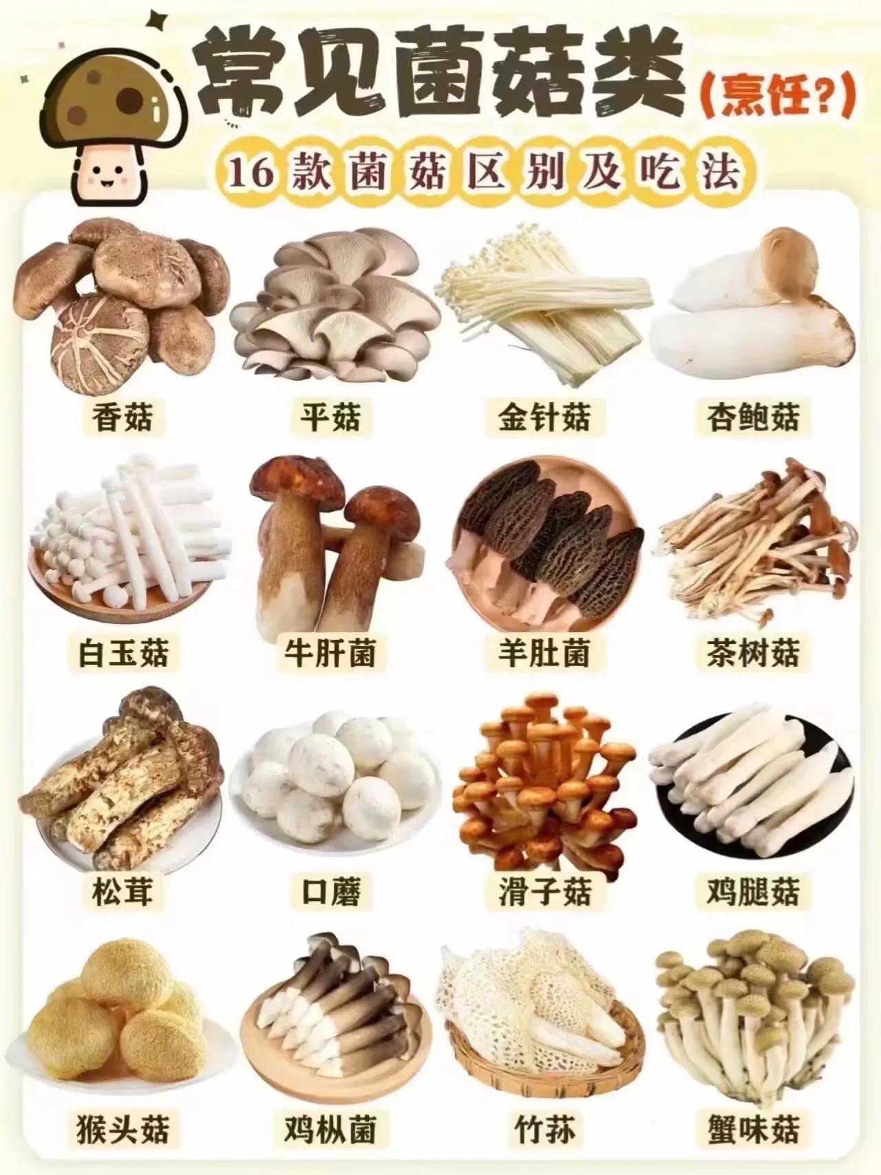 『烹饪知识』常见菌菇类的烹饪做法！[笑哭][来看我]#菌子季节吃松茸# #推荐食