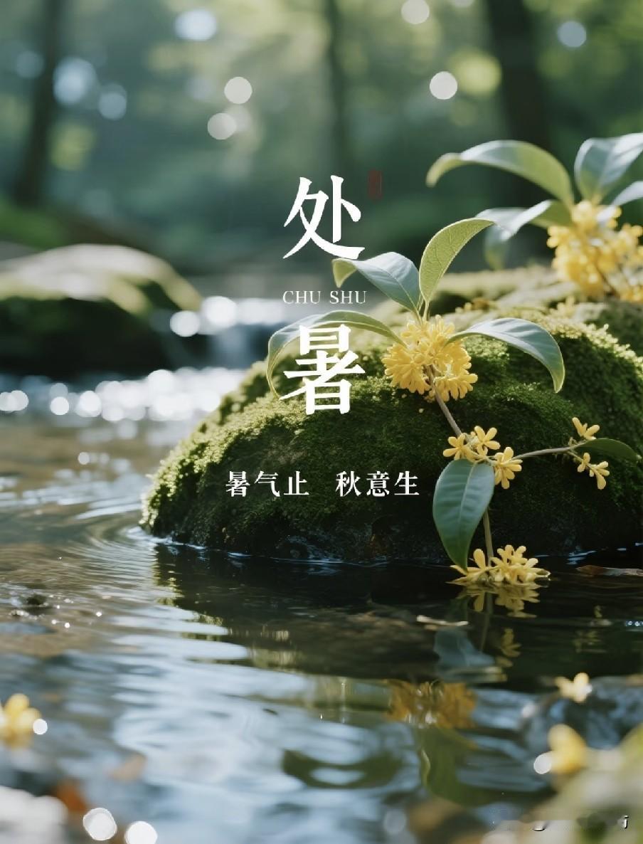 明天处暑！老话说“处暑不出伏，一年无春秋”，究竟有啥说法？
 
8月23日上午，