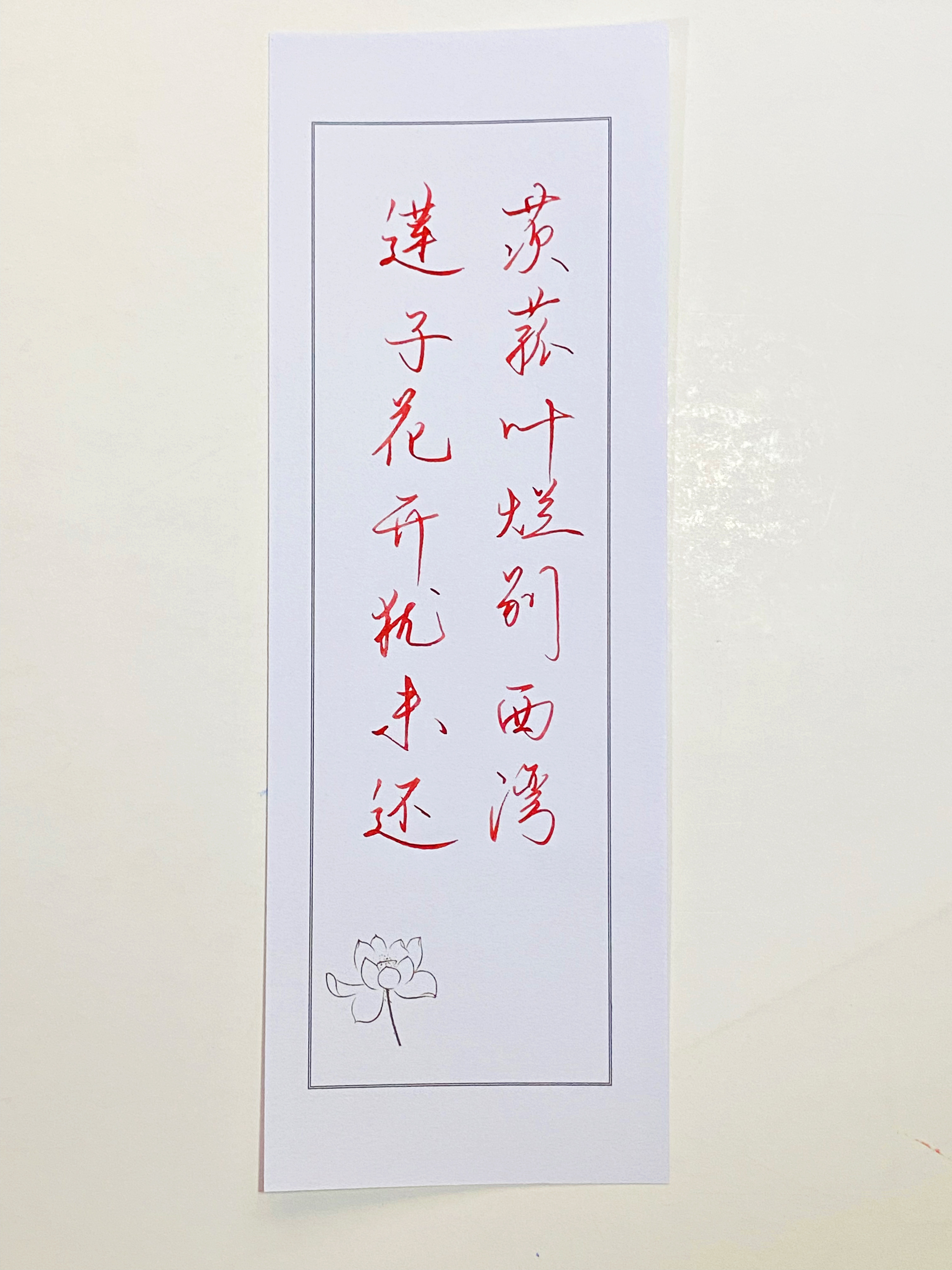 一起写写字  莲子 
