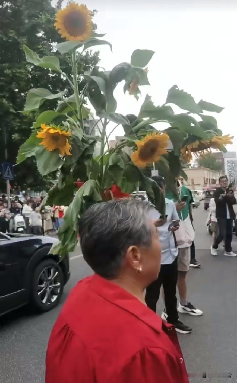 今日高考日，向日葵火了！老太太现场兜售，为莘莘学子一举夺魁，加油助威！