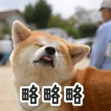 小探长热谈科技