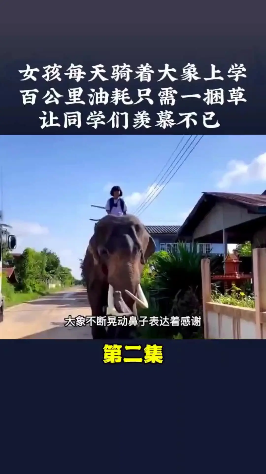 万物皆有灵 野生动物零距离 神奇动物在 内容启发搜索 动物世界