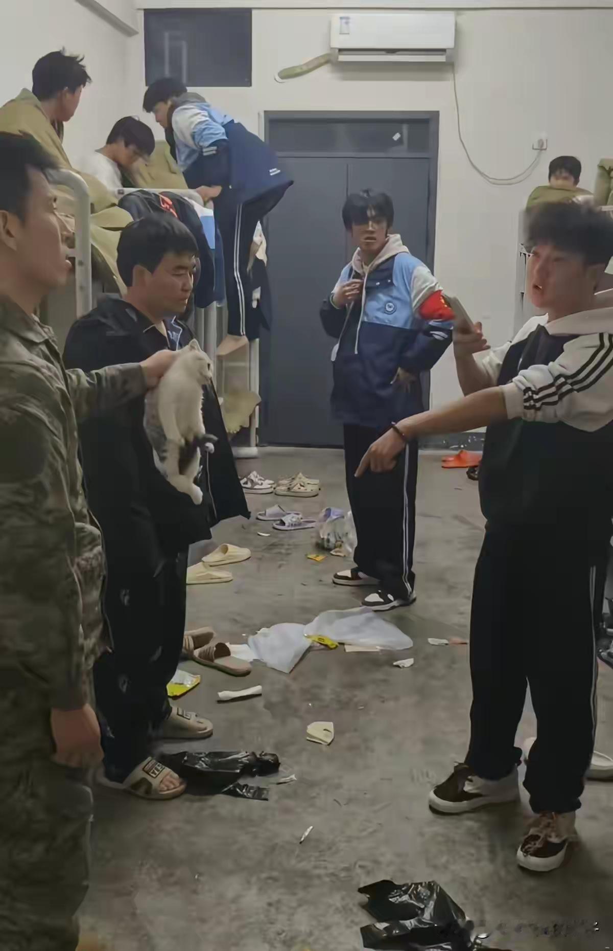 看了教官摔死小猫的视频，怎么说呢，气的手发抖。小猫也就几个月大，这么弱小的生命它